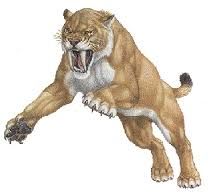 grrrr.jpg