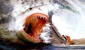 megalodon.jpg